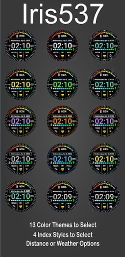Multi Function Digital Iris537 screenshot 6