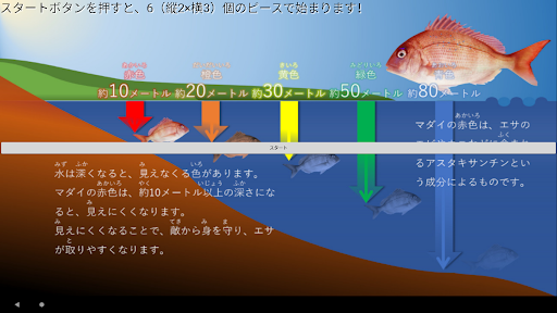 海業パズル　地域資源のピースを集めて完成する海業パズル Screen 3
