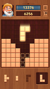 Wooden Block Puzzle 1