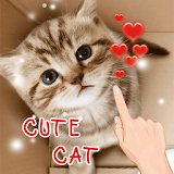 Cute Love Cats icon
