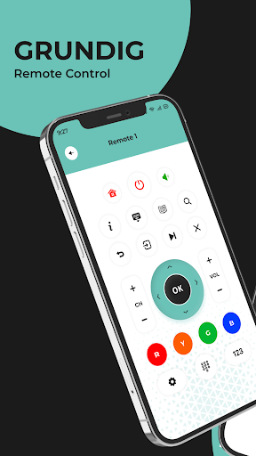 Remote for Grundig TV Screen 3