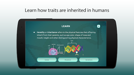 Inheritance Biology Screen 2