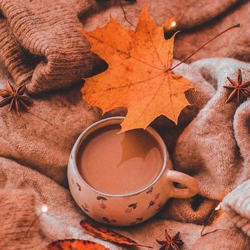 Fall Aesthetic Wallpapers logo