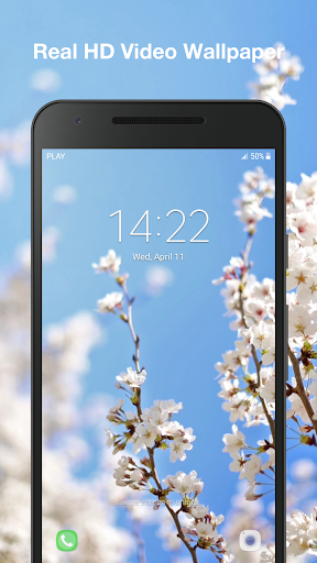 Cherry Blossom Live Wallpaper Screen 3
