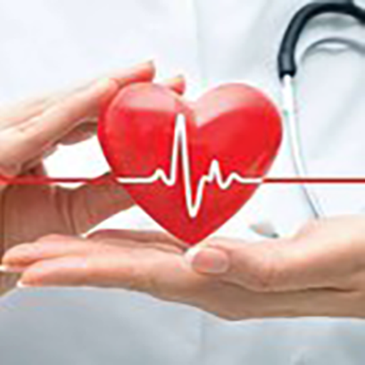 Expert system:risk factors CHD logo