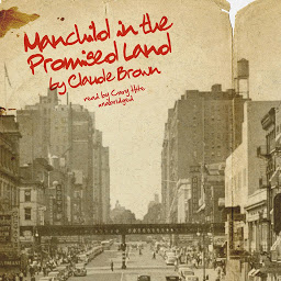 Obraz ikony: Manchild in The Promised Land