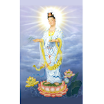 Cover Image of Unduh Goddess Of Mercy 观世音菩萨 结缘  APK