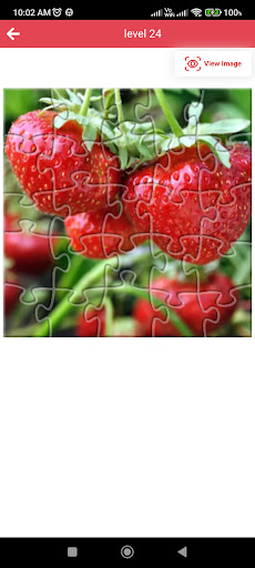 Jigsaw puzzles game - fixit Screen 3
