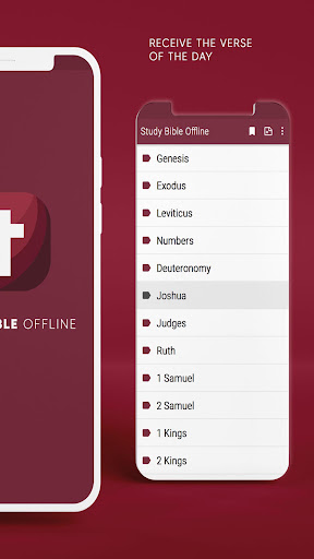 Study Bible Offline screenshot 4
