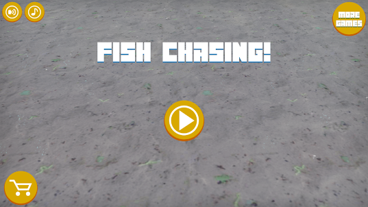 Fish Chasing
