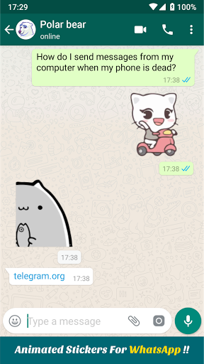 Cute Cats Animated Stickers
