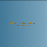 Cam Newton icon