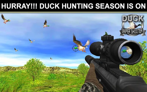 Duck Hunting Wild Adventure