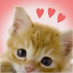 Cover Image of Download My Kittens 1.0.2 APK