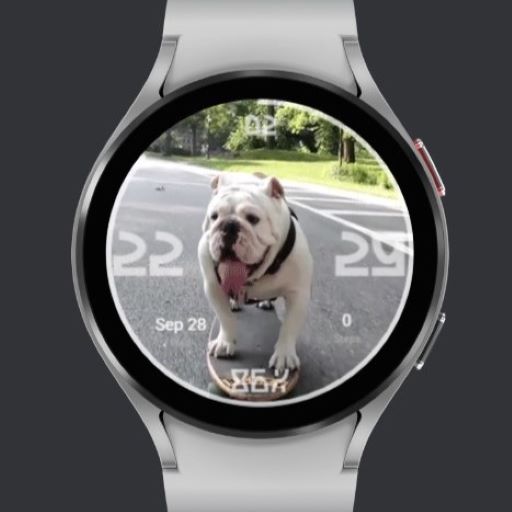 FURRY FRIEND - DOGGY COOL logo