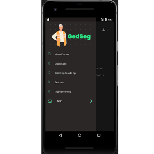 GedSeg Screen 3