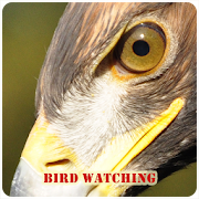 Top 10 Books & Reference Apps Like Bird Watching - Best Alternatives