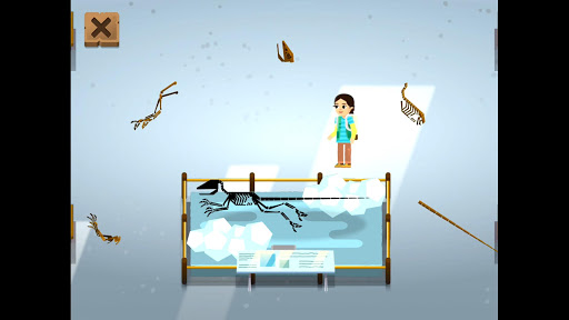 Dino Dana - Dino Exhibit