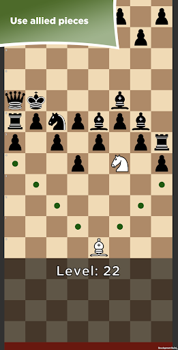 Check Maze (Chess) Screen 3