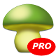 MushToolPro - Bolets Setas Descarga en Windows