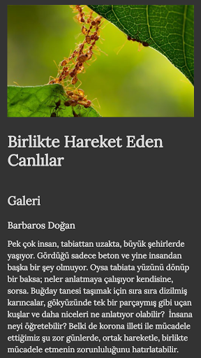 Çamlıca Kitap screenshot 5