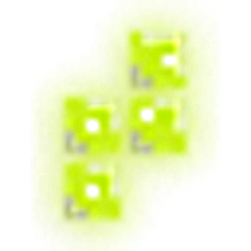 Spatium caudices logo