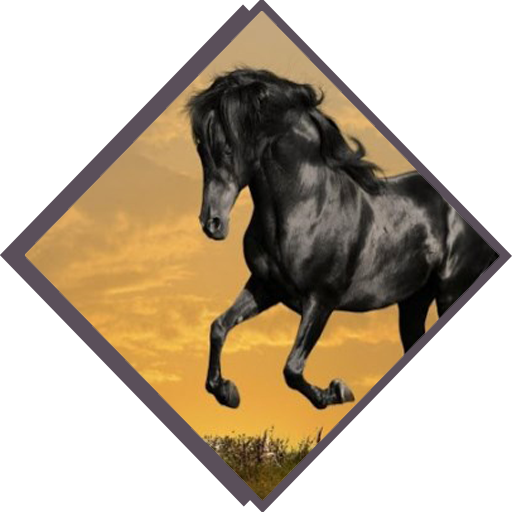 معرض الخيل التطبيقات على Google Play