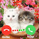 Call Flash Color 3D: Caller Screen Themes Free icon