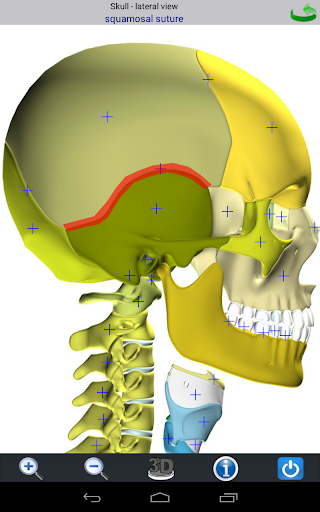 Visual Bones screenshot 17