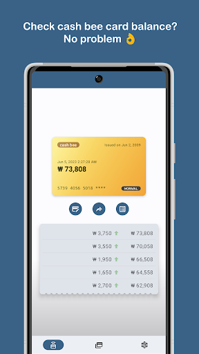 Korea Transit Card Balance Screen 3