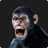 Angry Gorilla Wild Hunt icon