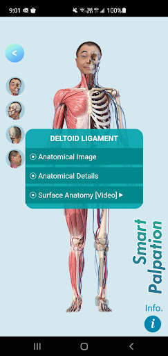 Smart MSK Tutor Screen 3