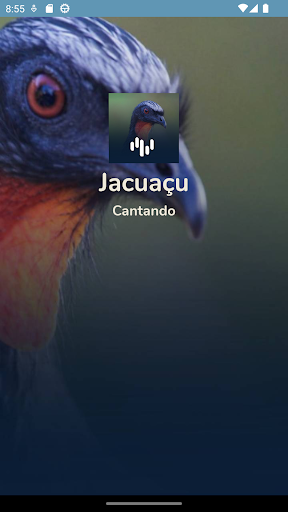 Canto Para Atrair Jacuaçu Screen 3
