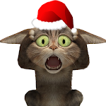 Cover Image of Tải xuống Funny Talking Cat 1.7 APK