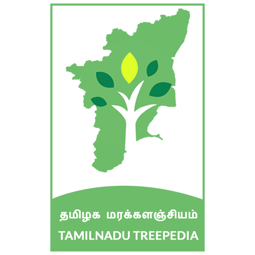 Tamil Nadu Treepedia - தமிழக ம  Icon