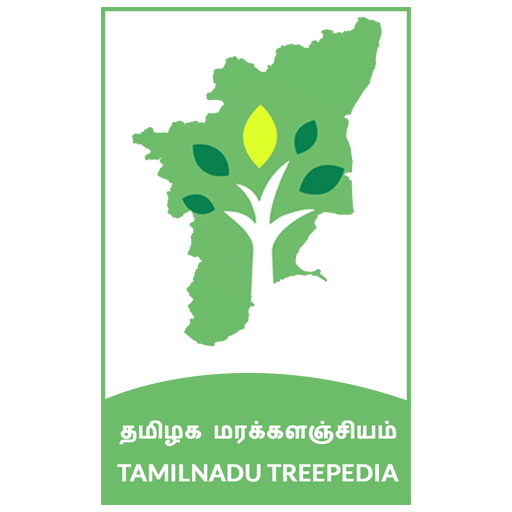 Tamil Nadu Treepedia - தமிழக ம