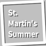 Cover Image of Download Book, St. Martin's Summer  APK