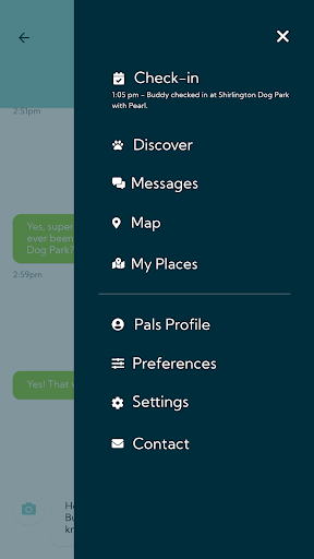 Pals - Sit. Swipe. Play.