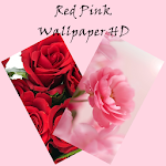 Cover Image of Скачать Red Pink Rose Wallpaper HD Flo  APK