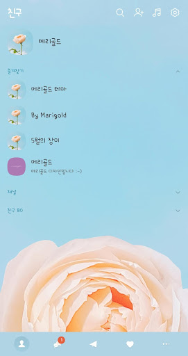 [메리골드] 5월의 장미 카카오톡 테마 Screen 2