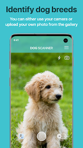 Dog Scanner: Breed Recognition - Apps On Google Play