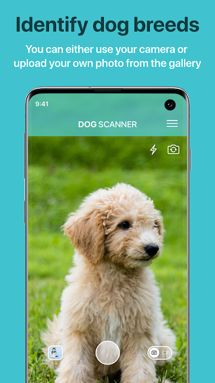 Dog Scanner: Breed Recognition - 17.2.1-G - (Android)