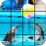 Dolphin Puzzle Games icon