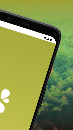 Airmango Screen 2