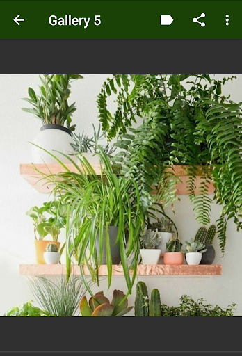 Indoor Gardens Screen 3