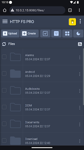 Screenshot of HTTP FS PRO (file server)