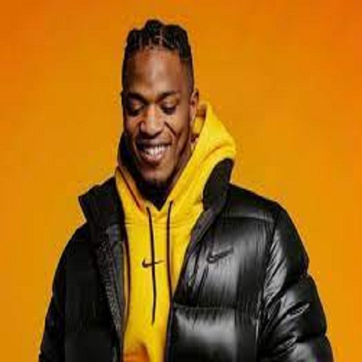 les chansons de Niska logo