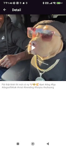 Downloader for TikTok Videos Screen 3