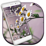 Summer Flower Life Launcher icon