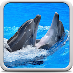 Cover Image of Download Dolphins Live Wallpaper 22.0 APK